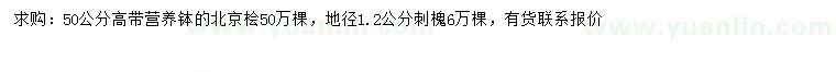 求購(gòu)高50公分北京檜、地徑1.2公分刺槐