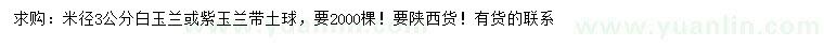 求購米徑3公分白玉蘭、紫玉蘭