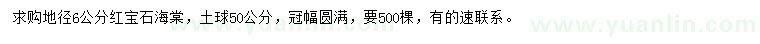 求購地徑6公分紅寶石海棠