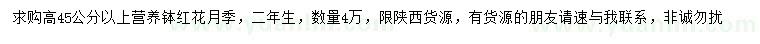 求購(gòu)高45公分紅花月季