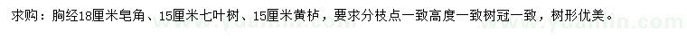 求購皂角、七葉樹、黃櫨