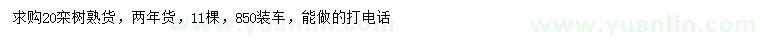 求購20公分欒樹