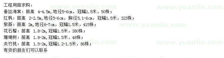 求購垂絲海棠、紅楓、紫薇等