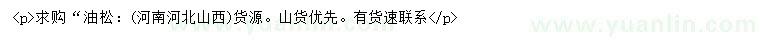 求購(gòu)油松