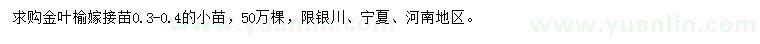 求購金葉榆嫁接苗