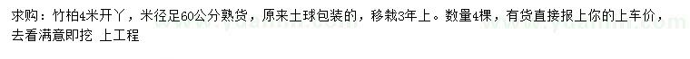 求購米徑60公分竹柏