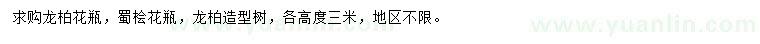 求購龍柏花瓶、蜀檜花瓶、龍柏造型樹
