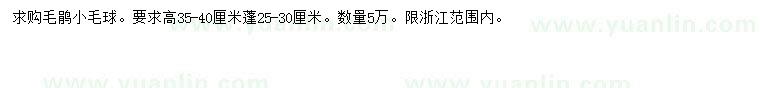 求購(gòu)高35-40公分毛鵑小毛球
