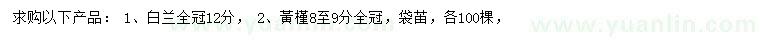 求購冠幅12分白蘭、8-9公分黃槿