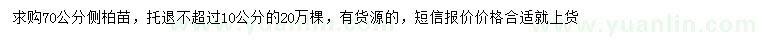 求購70公分側(cè)柏