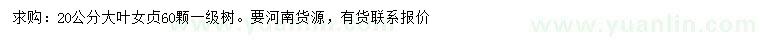 求購20公分大葉女貞