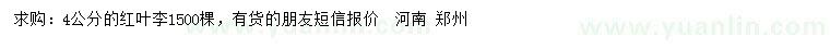 求購4公分紅葉李