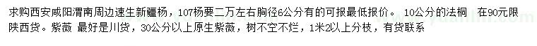 求購速生新疆楊、法桐、紫薇