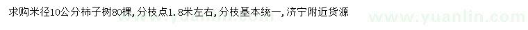 求購(gòu)米徑10公分柿子樹(shù)