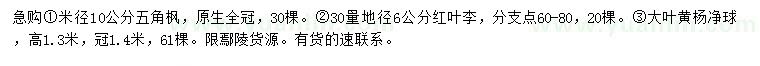 求購五角楓、紅葉李、大葉黃楊球