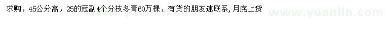 求購高45公分冬青