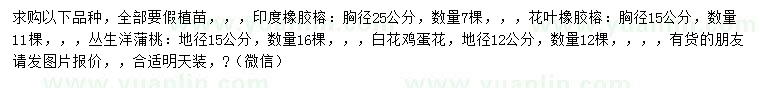 求購印度橡膠榕、茶葉橡膠榕、人生洋蒲桃等