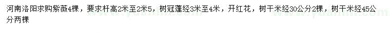 求購桿高2米-2.5米紫薇