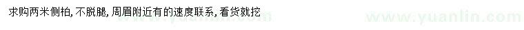 求購(gòu)2米側(cè)柏