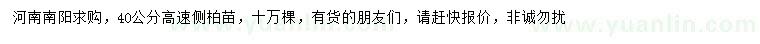 求購高40公分側(cè)柏苗