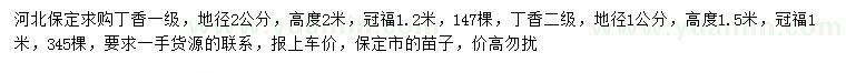 求購丁香