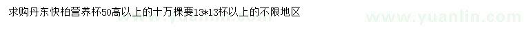 求購(gòu)高50公分以上丹東檜柏