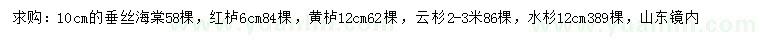 求購10公分垂絲海棠