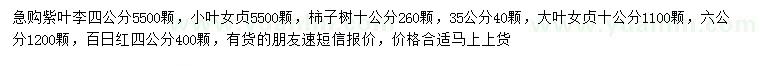 求購紫葉李、小葉女貞、柿子樹等