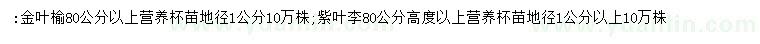 求購80公分金葉榆、紫葉李