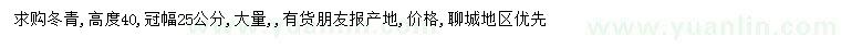 求購高40公分冬青