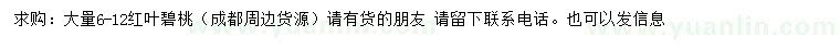 求購(gòu)6-12公分紅葉碧桃