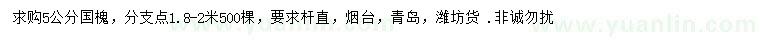 求購5公分國槐