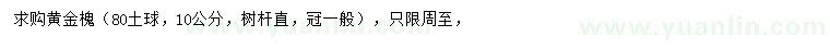 求購10公分黃金槐