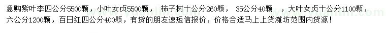 求購紫葉李、小葉女貞、柿子樹等