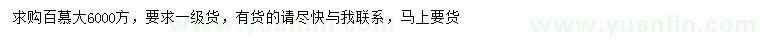 求購百慕大