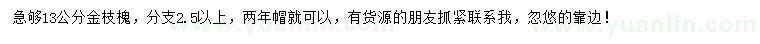 求購(gòu)13公分金枝槐