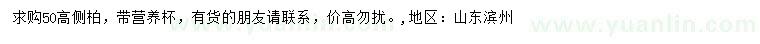 求購(gòu)高50公分側(cè)柏