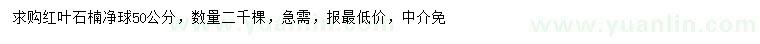 求購50公分紅葉石楠球