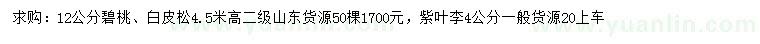 求購碧桃、白皮松、紫葉李