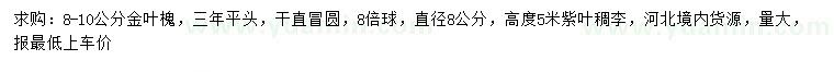求購8-10公分金葉槐