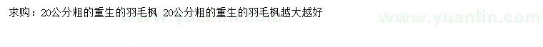 求購(gòu)20公分羽毛楓