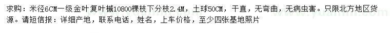 求購米徑6公分金葉復(fù)葉槭