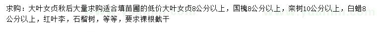 求購(gòu)大葉女貞、國(guó)槐、欒樹等