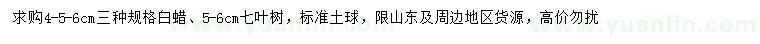 求購(gòu)4、5、6公分白蠟、5-6公分七葉樹(shù)