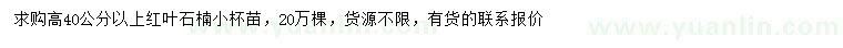 求購高40公分以上紅葉石楠
