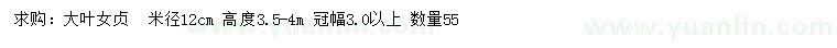 求購米徑12公分大葉女貞
