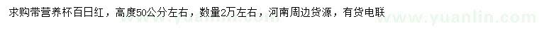 求購50公分百日紅