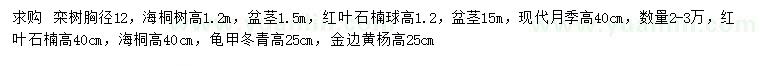 求購欒樹、海桐、現(xiàn)代月季等