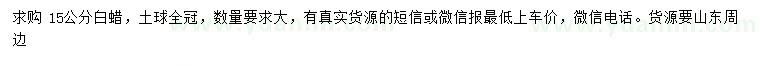 求購15公分白蠟