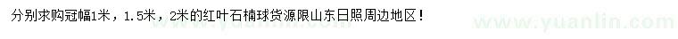 求購(gòu)冠幅1、1.5、2米紅葉石楠球